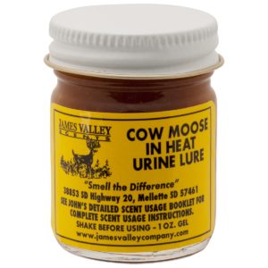 Cow Moose in Heat Gel