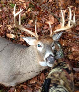 Anthony Ambrosino's buck