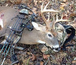 Gordon McNaney's buck shot with a bow